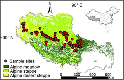 Climate Variability Rather Than Livestock Grazing Dominates Changes in Alpine Grassland Productivity Across Tibet